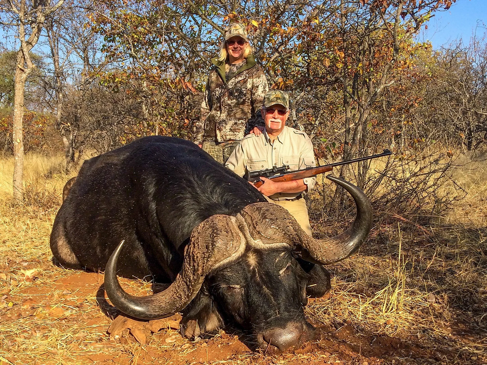 Cape Buffalo herd grazing