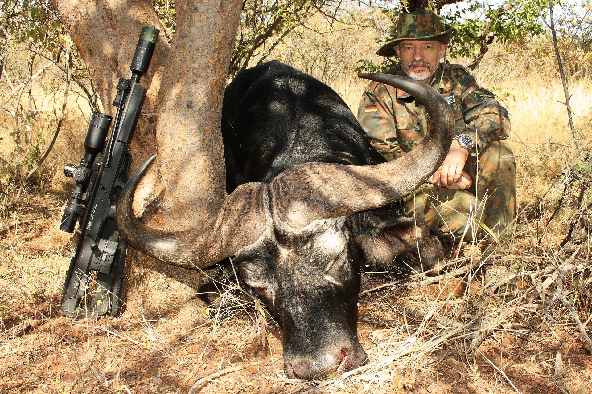 Cape Buffalo tracking