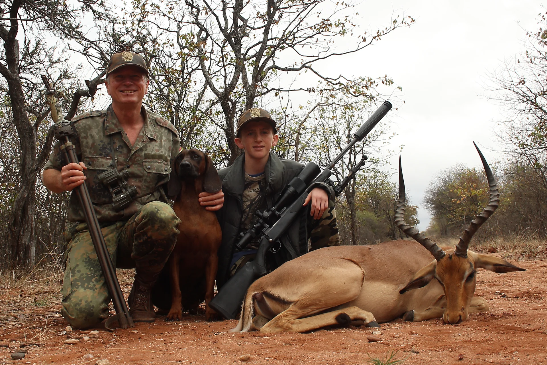 Wild dogs pack